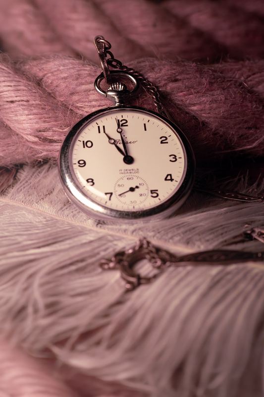 Orologio da tasca argentato su piume rosa e corda, fotografia still life